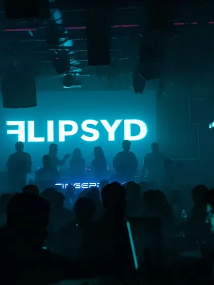 The silhouette of the crowd against the massive "FLIPSYD" logo at Fingerprint, Mumbai.