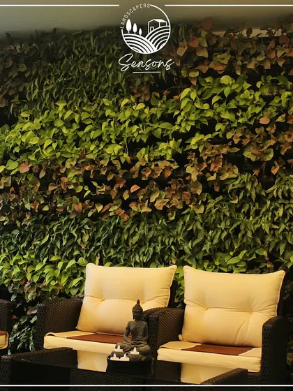 A vertical garden creating a lush green backdrop for an outdoor seating area. This installation transforms a simple wall into a vibrant and inviting feature, making the space feel like a private garden retreat.