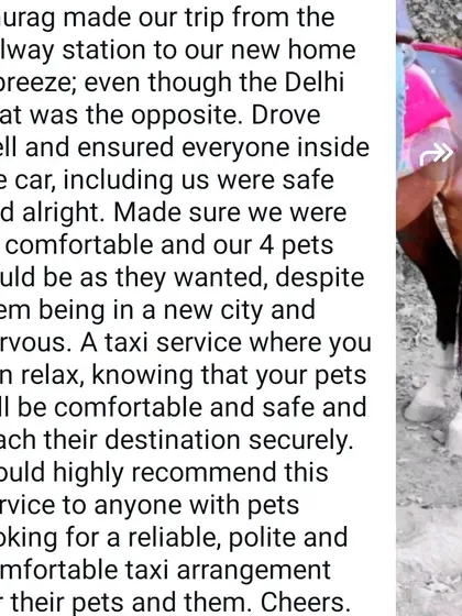 A wonderful review from a family I helped relocate with their four pets. Knowing they could relax because their pets were safe and comfortable means the world to me.