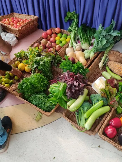 A stall filled with an assortment of fresh greens, broccoli, gourds, and bell peppers.