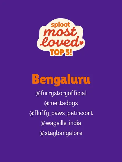 Presenting the results for Bengaluru! This is the 'Sploot Most Loved' Top 5 list for dog boarding, as chosen by the pet parents in our community. These are the names you can trust.