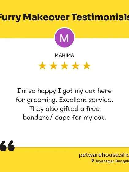 Mahima was so happy with her cat's grooming that she left this excellent review. We love adding little surprises like a free bandana to make the experience even more special.