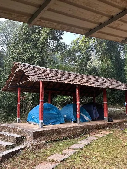 Sheltered tent camping setup in Agumbe. I provide comfortable and secure camping arrangements, allowing teams to fully immerse themselves in the jungle experience.