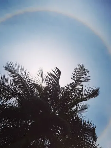 Another view of a sun halo through the palm fronds. These moments connect us to the larger rhythms of the universe and the magic of the natural world.