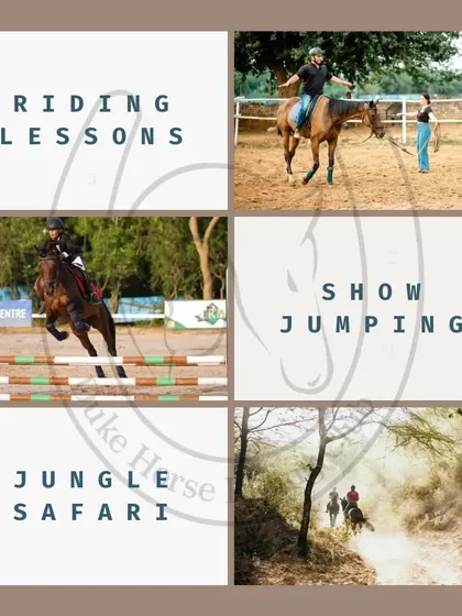 We offer a range of equestrian activities. This graphic provides a quick overview of our main services, including beginner riding lessons, advanced show jumping, and our signature jungle safaris.