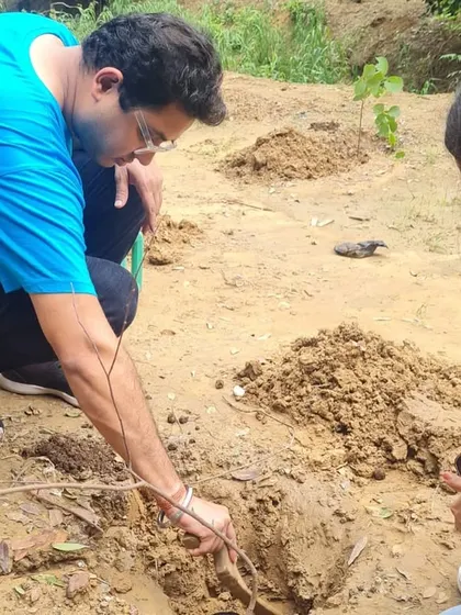A volunteer carefully places a native sapling into the ground, part of our effort with NTT DATA to strengthen the banks of the Sector 56 creek.