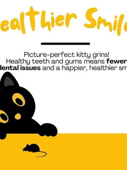 By promoting cleaner teeth and healthier gums, dental treats contribute to fewer dental issues down the line. That means a happier cat and fewer vet bills for you.