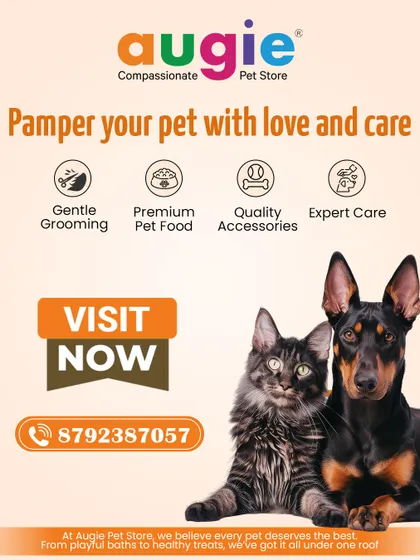 We pamper your pet with love and care. At our store, we offer everything under one roof: gentle grooming, premium pet food, quality accessories, and expert care from a team that loves animals.