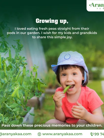 I remember the simple joy of eating fresh peas straight from the pods. I want to help you pass down these precious memories and tastes to your children with your own organic garden.
