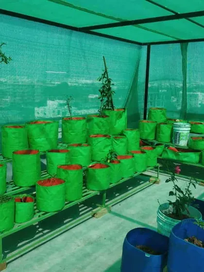 For those who want to grow their own vegetables, we offer rooftop kitchen garden setups. This installation uses durable grow bags and a shade net to protect the plants from the harsh Bangalore sun.