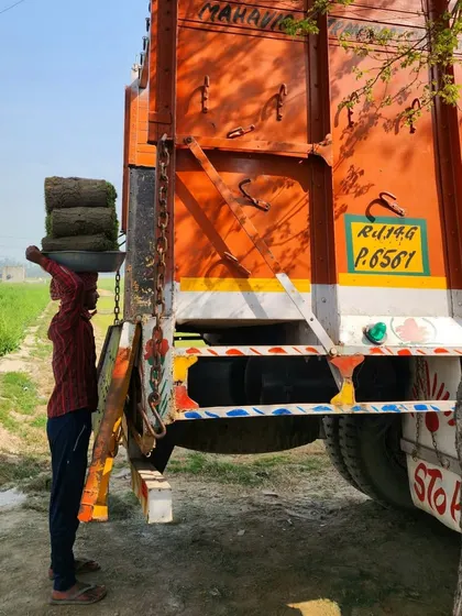 A worker loading turf onto a truck. We prioritize both quality and quantity in our supply.