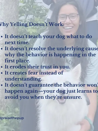 Yelling is ineffective because it doesn't teach your dog what to do instead, it doesn't resolve the root cause of the behavior, and it creates fear. A positive approach builds trust and guarantees better long-term results.