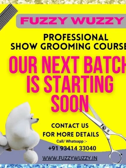 Our next batch for the professional show grooming course is starting soon. This is your chance to turn your love for animals into a rewarding career with an internationally recognized certification.