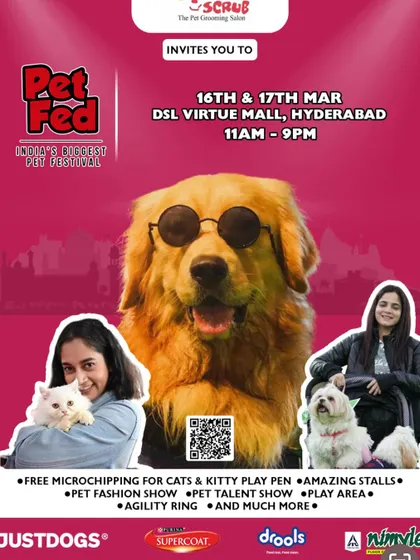 Our invitation to the pet-loving community of Hyderabad for the PetFed festival. These events feature everything from fashion shows to agility rings.