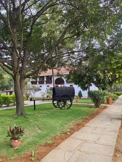 A pathway in our garden leads past the historic bullock cart, offering a glimpse into the timeless journey of tradition that we preserve at Ayurvedagram.
