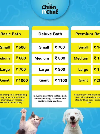 Our spa menu includes Basic, Deluxe, and Premium bath packages for all sizes, from small to giant breeds.