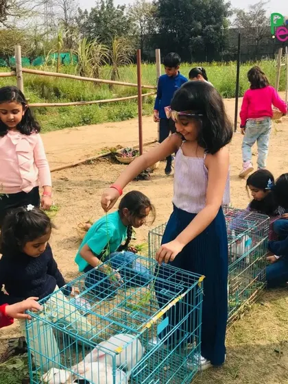 Children gathered around a cage of fluffy white rabbits, gently feeding them carrots.