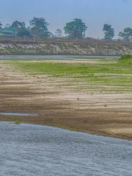A dream fulfilled. In a single frame, I captured Kaziranga's icons: the tiger and the rhino, on the banks of the Brahmaputra River. This is the ultimate habitat shot, telling the story of an entire ecosystem.