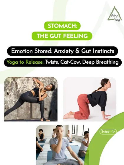 Anxiety and gut instincts are often stored in the stomach. This graphic shows how twists, Cat-Cow, and deep breathing can help release this tension and calm your gut.
