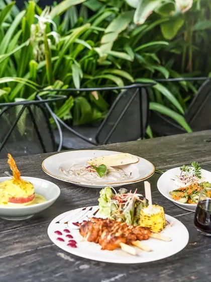 A delicious spread of appetizers and mains served on our wooden tables, surrounded by nature.