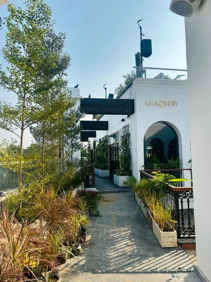 The same walkway at Miso Sexy seen during the day. We selected a variety of plants with different heights and textures to create a lush, layered border that feels vibrant and alive in the natural sunlight, offering a green welcome to daytime patrons.