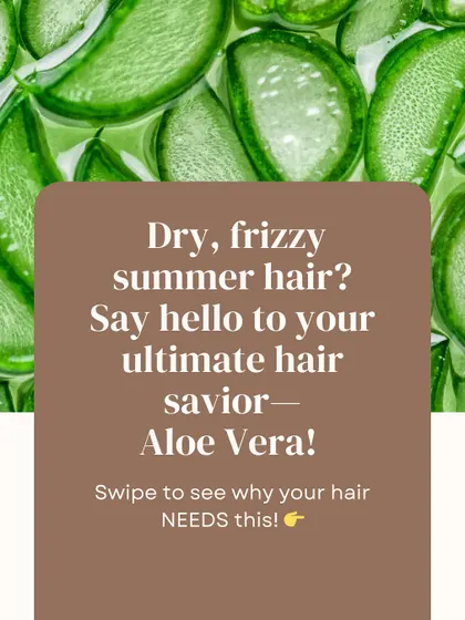 Introducing Aloe Vera as the ultimate summer hair savior. This post series explains why your hair needs this miracle ingredient to combat dryness and frizz during hot weather.