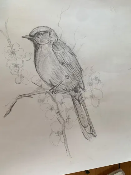 A student's sketch of a bird surrounded by blossoms, combining nature drawing with delicate composition.