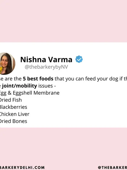 As a pet nutritionist, I always recommend food-first solutions. Here are five of the best foods for joint issues: eggs, dried fish, blackberries, chicken liver, and dried bones, all of which are bioavailable sources of essential nutrients.