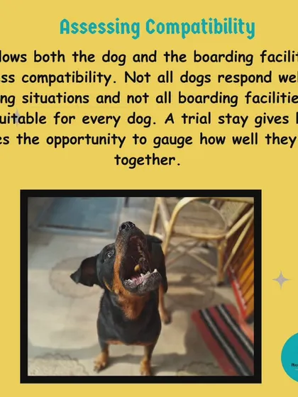 My open-hosting system isn't for every dog. A trial stay is how we both assess compatibility to make sure your dog will be happy and safe in a social, pack-style environment.