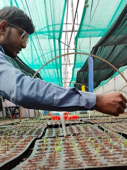 A trainee carefully inspects the seedling trays in our nursery. Attention to detail at this early stage is critical for success.