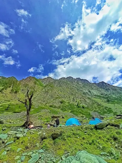 Camping under a brilliant blue sky in a green Himalayan meadow. This is the perfect escape for those who want to live close to nature, and we set it all up for you.