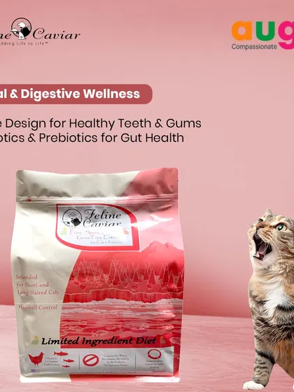 Feline Caviar is a fantastic holistic option for cats and kittens. This grain-free entrée is designed to control hairballs and is packed with probiotics for digestive wellness. The unique kibble shape even helps support dental health.
