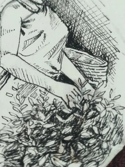 A macro shot of the pen study, focusing on the detailed ink work on the woman's arm and the basket of leaves.