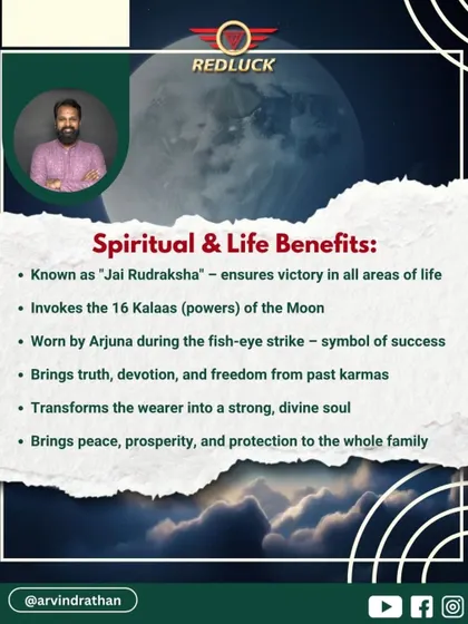 Known as the "Jai Rudraksha," this bead ensures victory in all areas of life. It invokes the 16 Kalaas (powers) of the Moon and was famously worn by Arjuna during the fish-eye strike, symbolizing guaranteed success.
