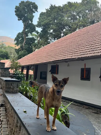 A friendly resident of the Coorg estate poses in front of the newly completed holiday home.