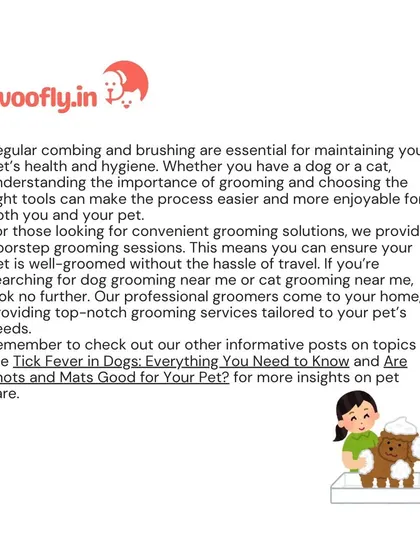 Regular combing and brushing are essential for your pet's health. My professional grooming services offer a convenient solution for busy pet parents.