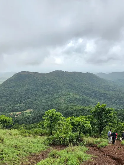 The view from the Kodachadri trail, looking out over the rolling hills and dense forests of the region.