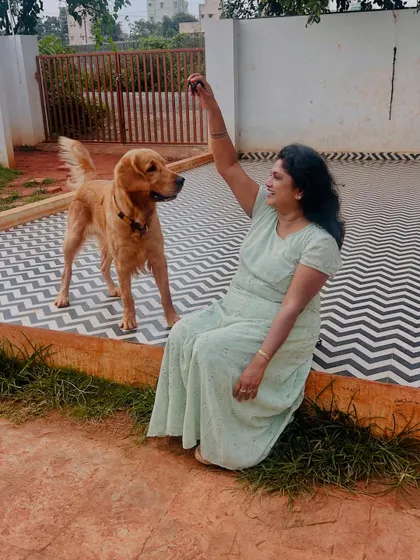 A gentle moment with a Golden Retriever. Building trust and a positive relationship with each dog is the foundation of my care.