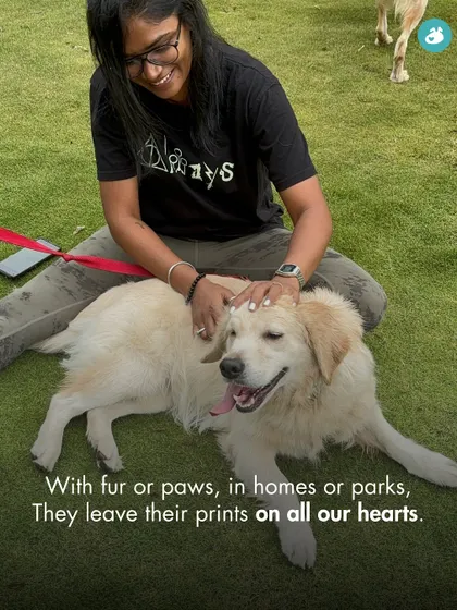 Our dogs leave their paw prints on all our hearts. A beautiful moment captured at one of our outdoor events.