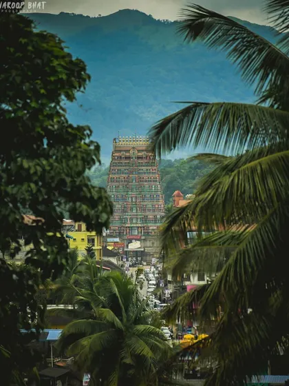 A colorful temple gopuram is artfully framed by lush green palm fronds and trees. This composition offers a unique, layered perspective of a traditional South Indian temple.