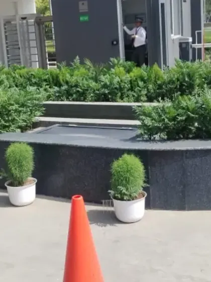 A formal and clean entrance design for a commercial property, featuring a curved planter with dense green shrubs and accented by small, spherical topiary plants in white pots. This creates a professional first impression.