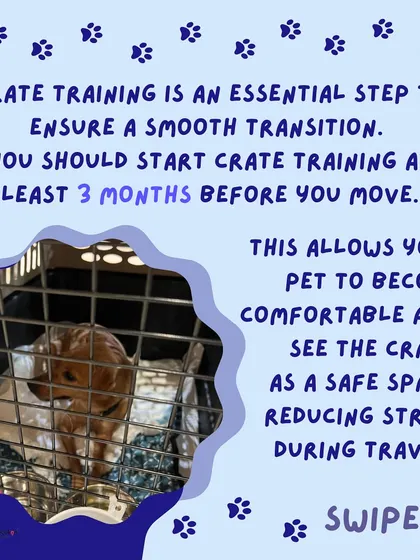 We recommend starting crate training at least 3 months before you move. This allows your pet to become comfortable and see the crate as a safe space, which is essential for reducing travel stress.