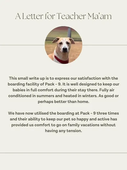 Yoda's family has used our boarding services three times, allowing them to go on family vacations without any tension. We are so happy to be their trusted choice.