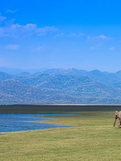 A wide shot of an elephant by the water, with the mountains in the distance. Using the landscape as a key element of the composition creates a sense of place and grandeur.