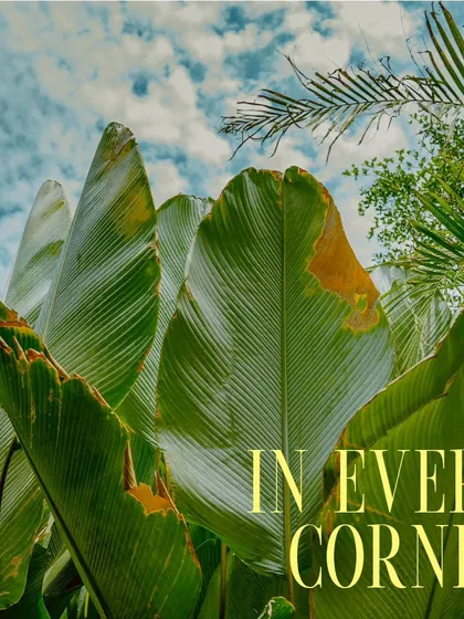 In every corner, you'll find a touch of nature, from the big palm trees to the small potted plants.