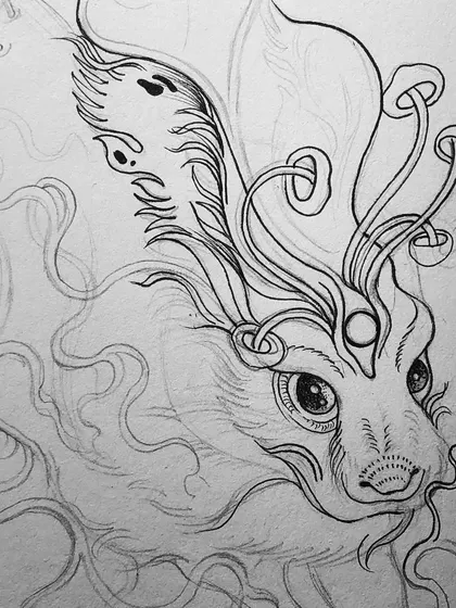 A close-up sketch of the mythical rabbit's face.