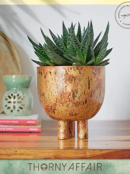 This unique metal planter stands on three legs, giving it a modern and slightly quirky feel. The distressed copper finish adds a layer of texture and character.