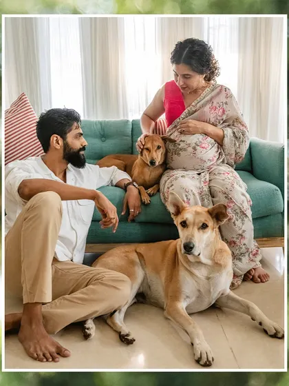 A beautiful indoor maternity portrait of an expecting couple with their two indie dogs, all gathered together on and around the couch.