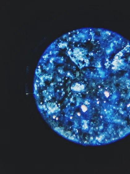 This is what glaze looks like under a microscope. Every bubble, crackle, and crystal is a tiny universe created by heat and chemistry in the kiln. It’s a reminder of how much magic is happening on a microscopic level.