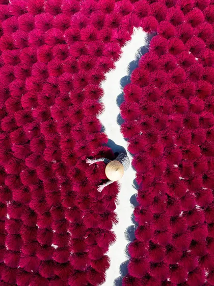 Incense in the making. A top-down aerial photo submitted for a photography contest, capturing the culture and tradition of the Quang Phu Cau village.